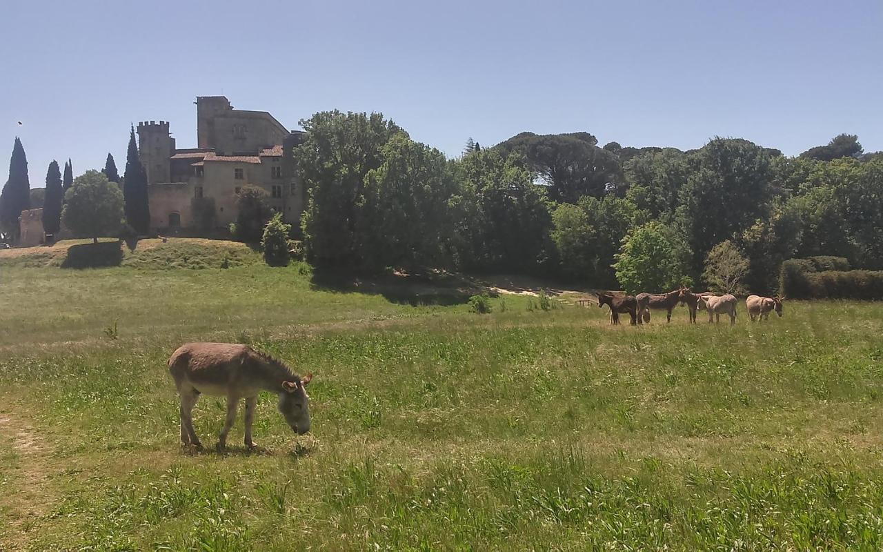 Une Chambre en Luberon Puyvert Exterior foto