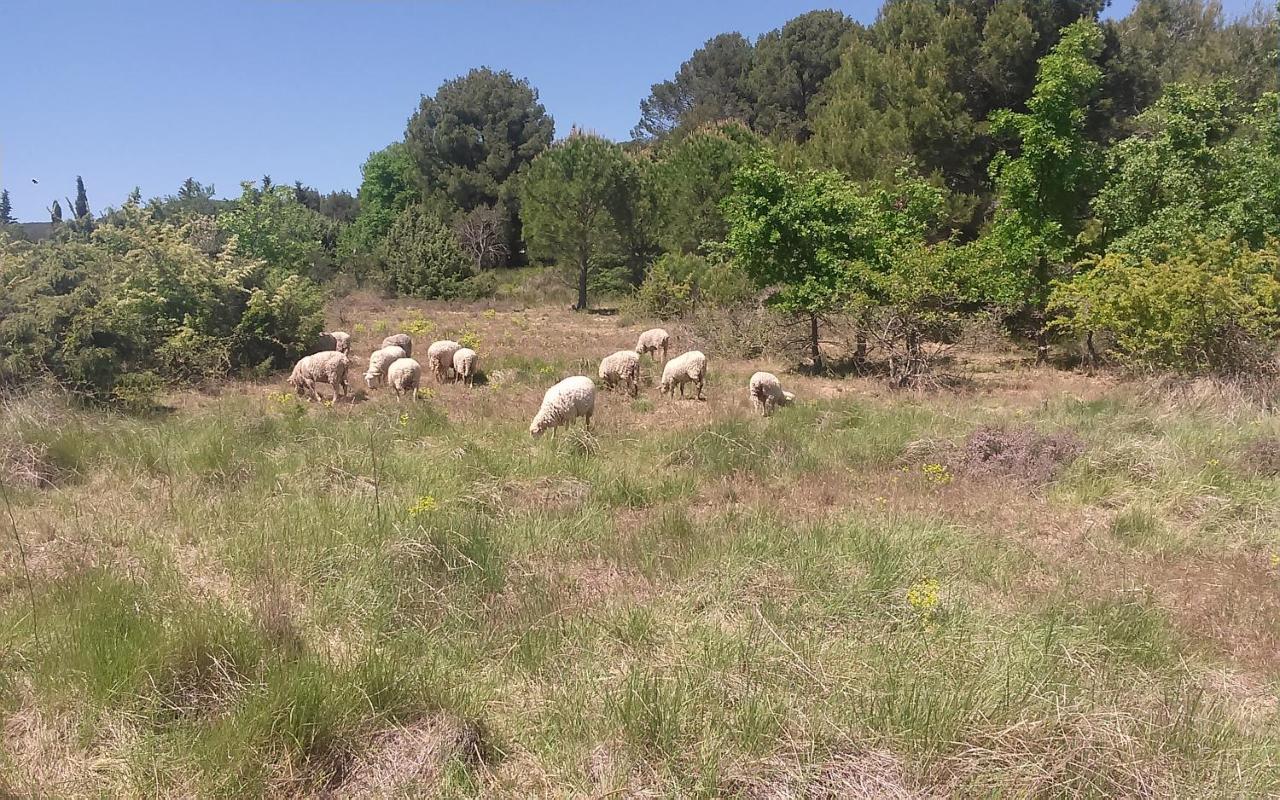 Une Chambre en Luberon Puyvert Exterior foto